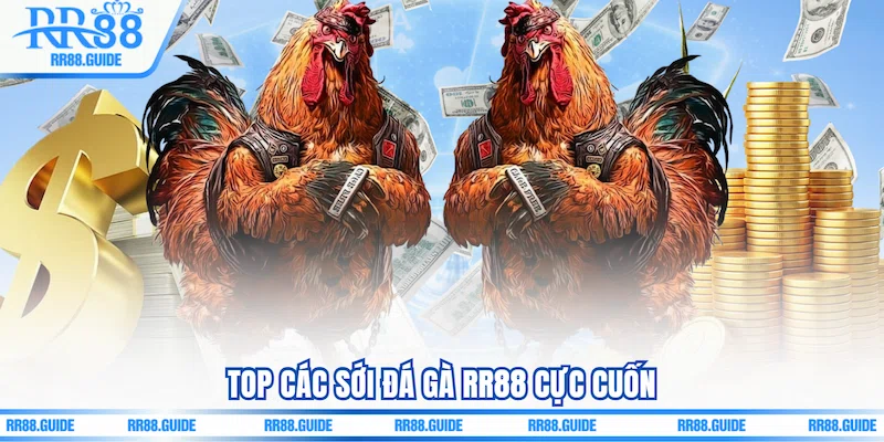 Top các sới Đá gà RR88 cực cuốn
