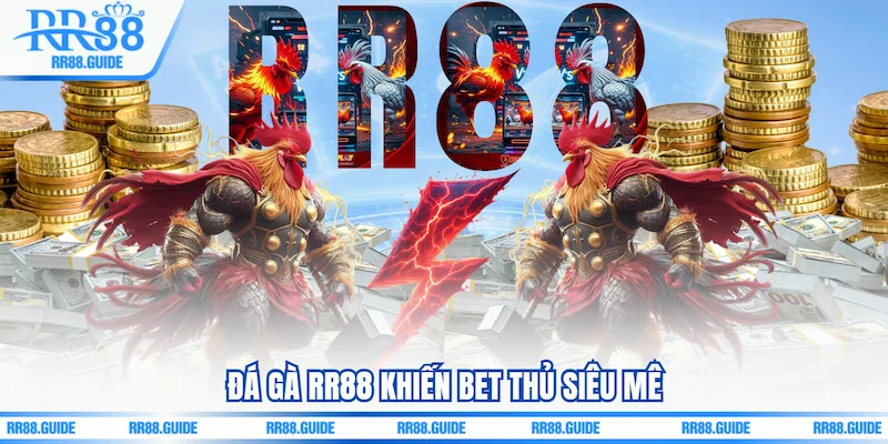 Đá gà RR88 khiến bet thủ siêu mê